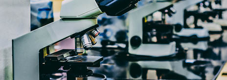 A microscope is placed on a table with other microscopes. AI generated content